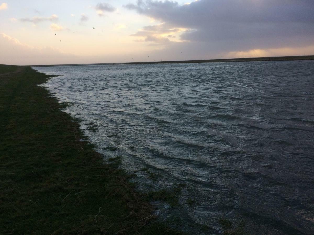 Landhaus Nordsee-Peerhuus Friedrichskoog Eksteriør billede
