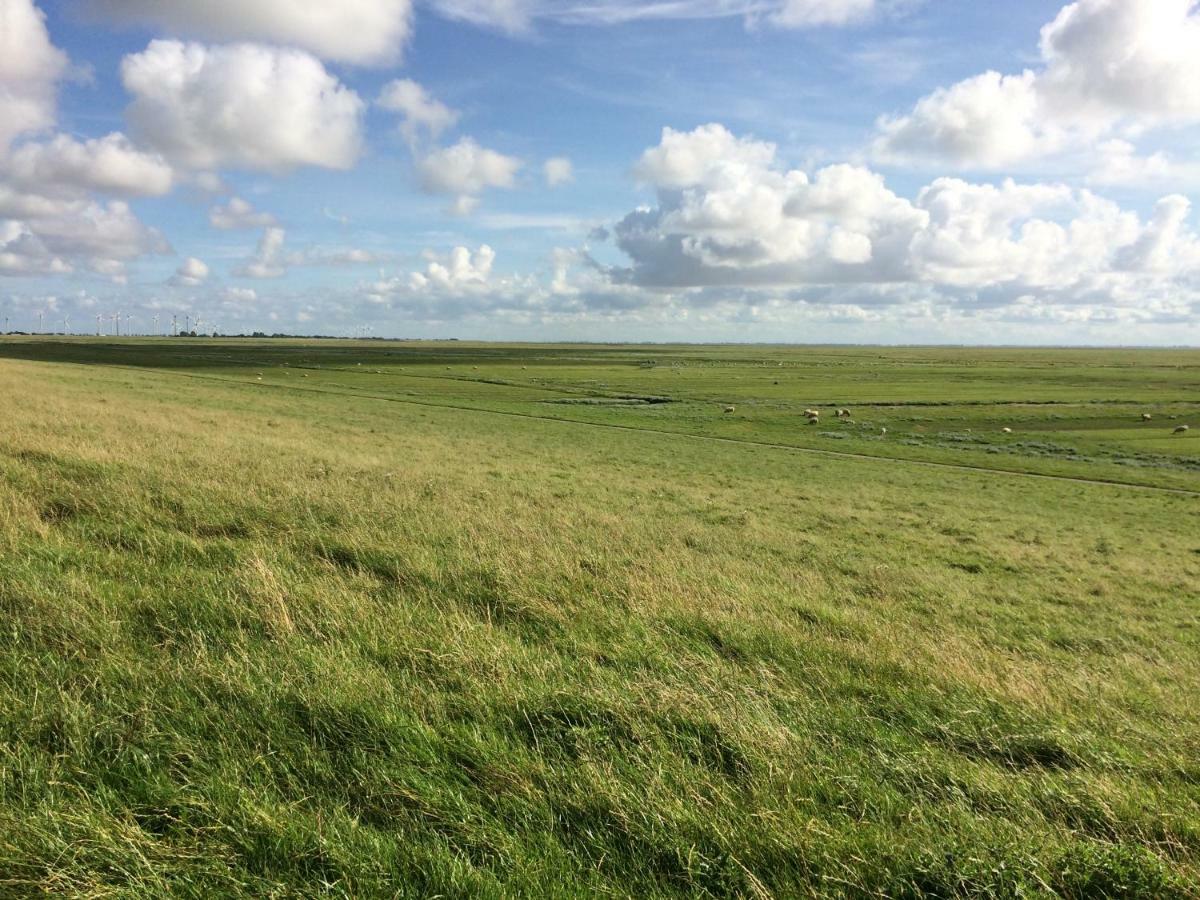 Landhaus Nordsee-Peerhuus Friedrichskoog Eksteriør billede